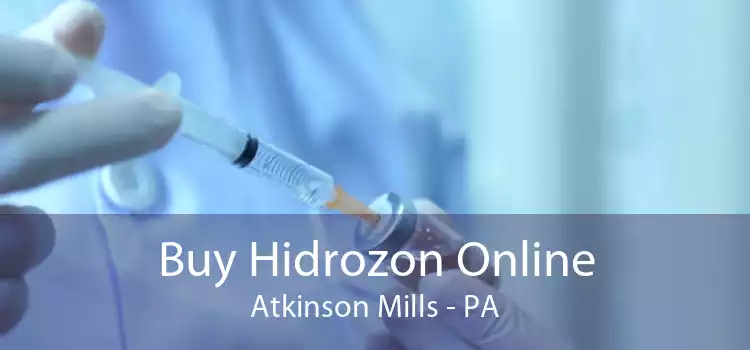 Buy Hidrozon Online Atkinson Mills - PA