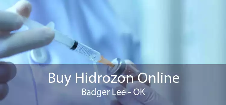 Buy Hidrozon Online Badger Lee - OK
