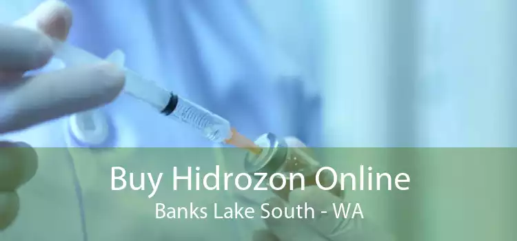 Buy Hidrozon Online Banks Lake South - WA