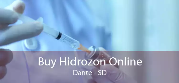 Buy Hidrozon Online Dante - SD